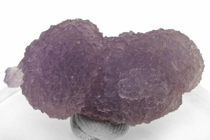Purple, Sparkly Botryoidal Grape Agate - Indonesia #231416